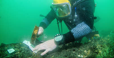 Bouldnor archaeology