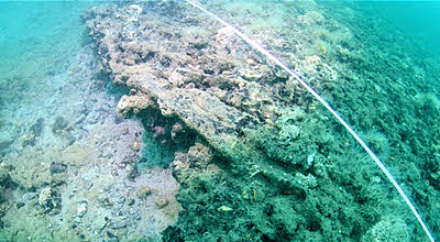 Bouldnor archaeology