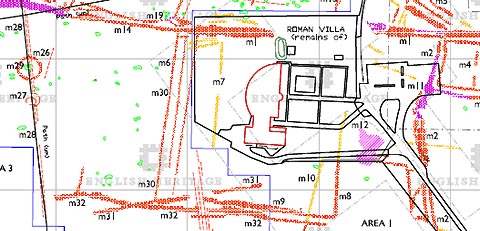 Brading Villa Survey