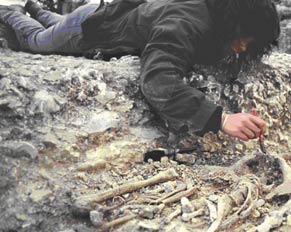 excavating skeleton
